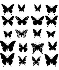 set of butterflies isolated