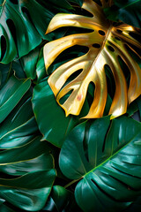 Opulent green foliage with golden monstera leaf. - 761195836