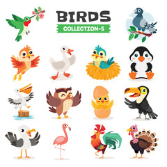Fototapeta premium Set Of Various Cartoon Birds