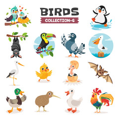 Set Of Various Cartoon Birds