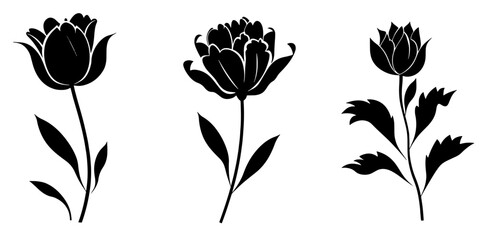illustration of a flower