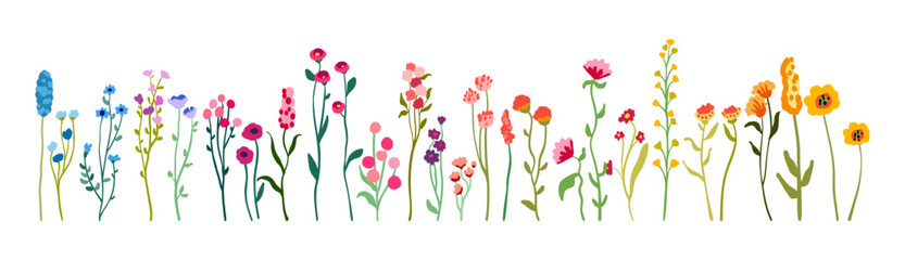 Naklejka premium Big set of delicate graceful wildflowers on tall stems with foliage. Simple floral elements. Wild plants isolated on white background. Flat vector illustration.