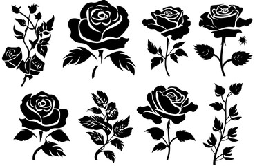 set of black and white roses