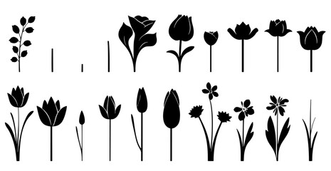 silhouettes of tulips