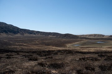 Fototapeta premium 野焼き後の草千里