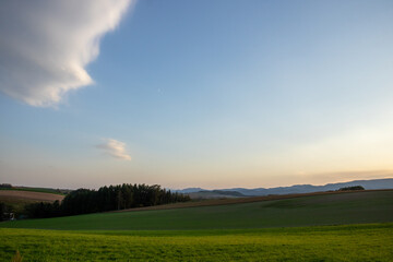 夕陽が当たる緑の牧草畑と空に浮かぶ雲
