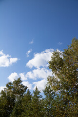 秋の空と白い雲
