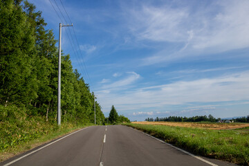 Fototapeta premium 夏の畑作地帯を通る道 