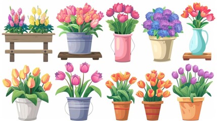 Fototapeta na wymiar Colorful bouquets in buckets, tulips in vases, green plant in pot, wooden shelf, and green plant in pot, isolated on white background.