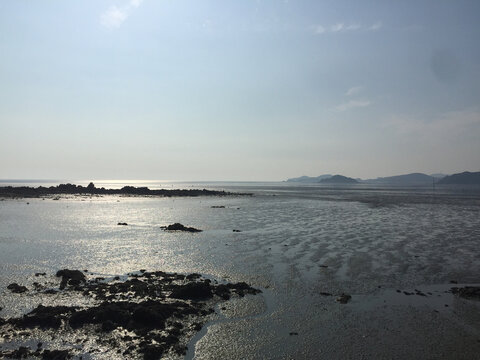 west coast mudflat