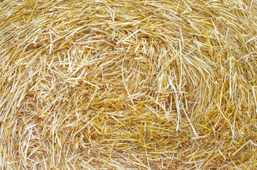 Bales of straw are illuminated by the sun.