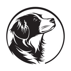 Dog Head logo, Border collie face logo isolated on a white background