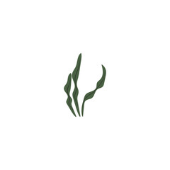 seaweed logo and vector template