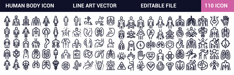 Human body icons set. Anatomy. Healthcare. Outline Icons Editable Stroke Thin line contour symbols. Isolated vector outline illustrations.