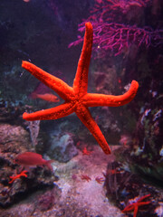 Klimawandel in Europa 