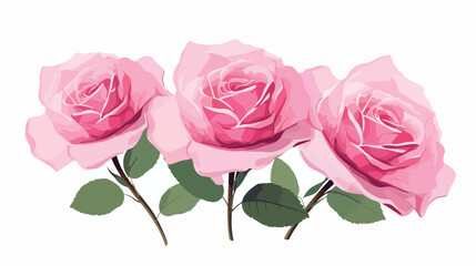 Fototapeta premium Three beautiful pink roses illustration