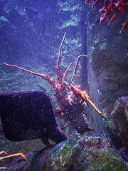 Klimawandel in europa