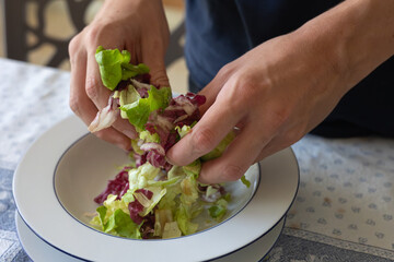 Detail of a Boy's Hands Ripping Salad Leaves into Smaller Pieces in a Plate