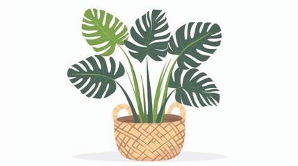 An illustration of a leaf plant growing in a basket with a tall palm stem. Large leaves, green natural decor. House interior decoration in a floor planter. Flat design isolated on white.