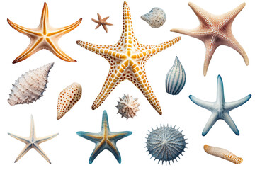 Isolated Starfish Collections Set - Generative AI
