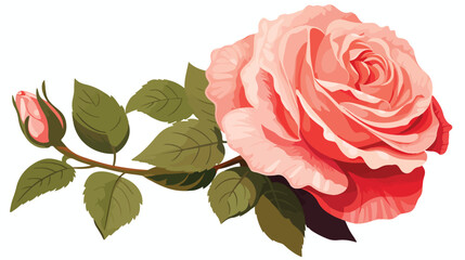 Garden rose flat vector isolated on white background