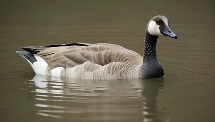 A Goose With Its Head Submerged In The Water
