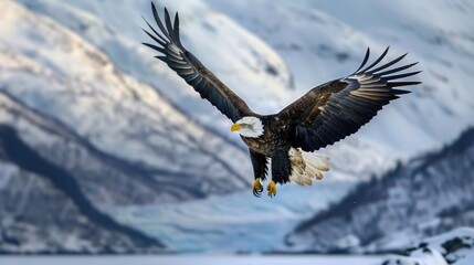 Obraz premium Golden eagle close-up portrait. Bird of prey. Wildlife scene from nature