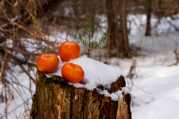 Persimmon and orange on a snowy stump. Fruits in the snow.