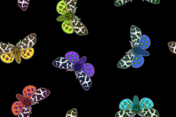 Bright night butterflies on black background. Seamless pattern. Vintage. - 761226021