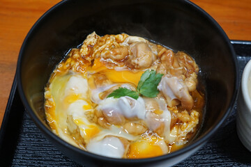 Close up bowl of Chicken teriyaki Don(rice) served with eggs