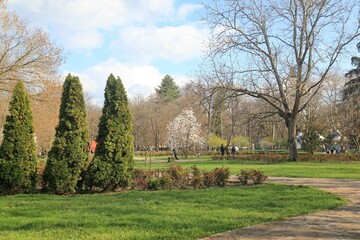 A park in the city of Yambol (Bulgaria) in the spring.