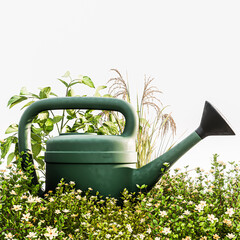 watering can isolated on white background - 761234622