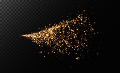 Fototapeta na wymiar Sparks of dust and golden stars shine with special light. Vector sparks on transparent dark background. Christmas light effect. Sparkling magic dust particles.