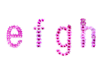 Image of orchids arranged in letters efgh isolated on transparent background png file.