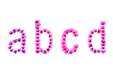 Picture of orchids arranged as abcd letters isolated on transparent background png file.