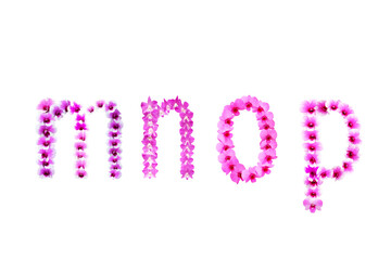 Picture of orchid flowers arranged in separate mnop letters on a transparent background png file.