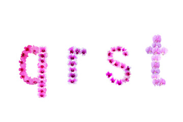 Image of orchids arranged in qrst letters isolated on transparent background png file.