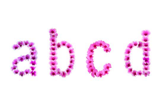Picture of orchids arranged as abcd letters isolated on transparent background png file.