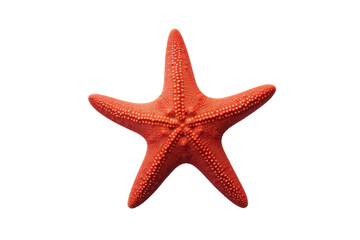 Fototapeta na wymiar Red Starfish on White Background. On a Transparent Background.