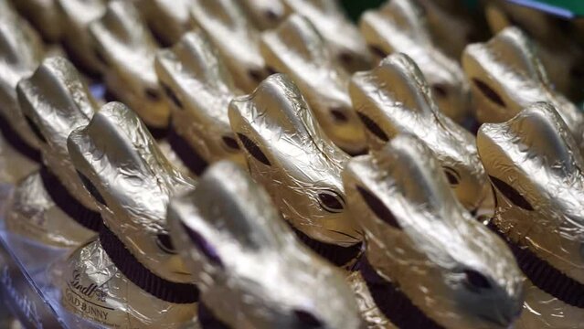 chocolate easter bunnies in the store