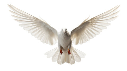 A graceful white bird displays its expansive wingspan, symbolizing freedom and grace - Powered by Adobe