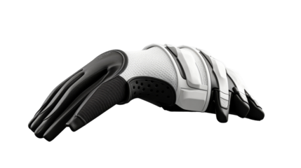 A pair of white and black gloves elegantly contrast on a blank canvas