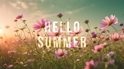 Hello Summer text against blooming wildflowers and  sunset sky.. Summertime, summer solstice concept. 