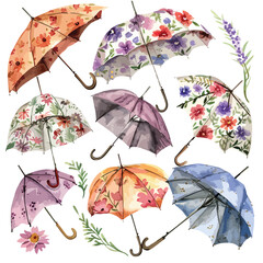 Floral Umbrellas Watercolor Clipart Clipart isolated