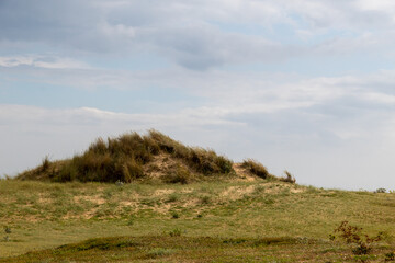 Obraz premium landscape with trees and clouds