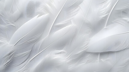 Abstract background with white feathers