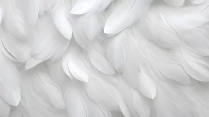 Foto op Aluminium Abstract background with white feathers © Oksana