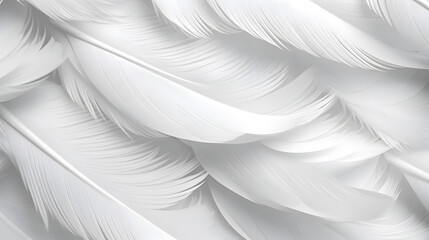 Abstract background with white feathers