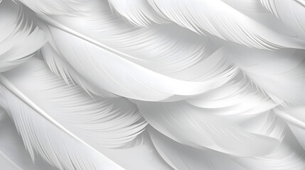 Fototapeta premium Abstract background with white feathers
