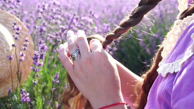 Lavender, field, walking - Two lady in violet dress, traverse purple blossoms, vast open space, daylight, nature beauty. Mother and daughter hand-in-hand move amidst purple flora, expansive rural area